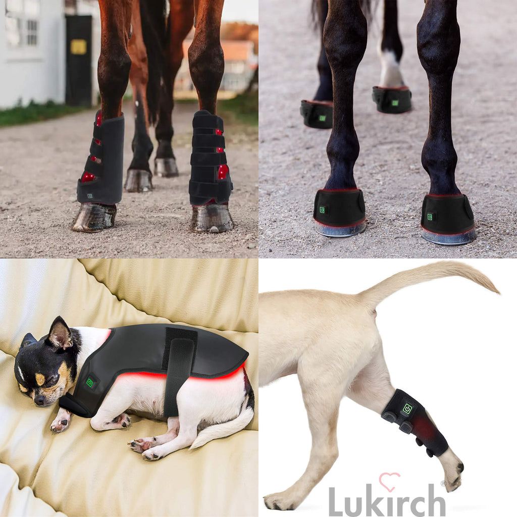 Is red light and near-infrared light therapy, such as through the use of a Joovv, beneficial for dogs?