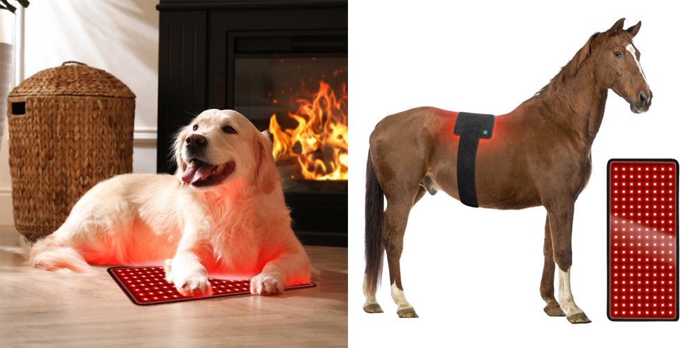 Have you tried red light therapy, and what have been your results?