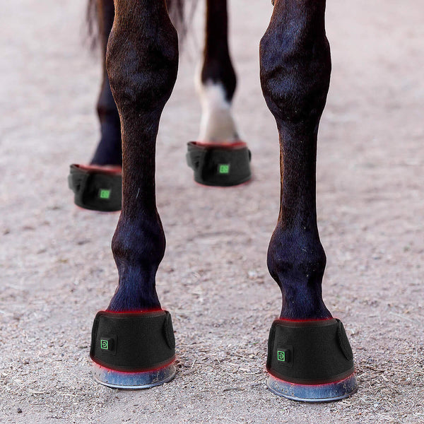40W-Equine-ankle-saver-hoof-wear-light-therapy-pad-with-built-in-battery