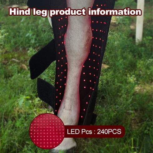 660nm-850nm-horse-red-light-therapy-boots