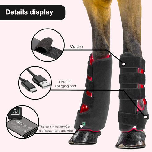 Horse-Leg-Physiotherapy-devices