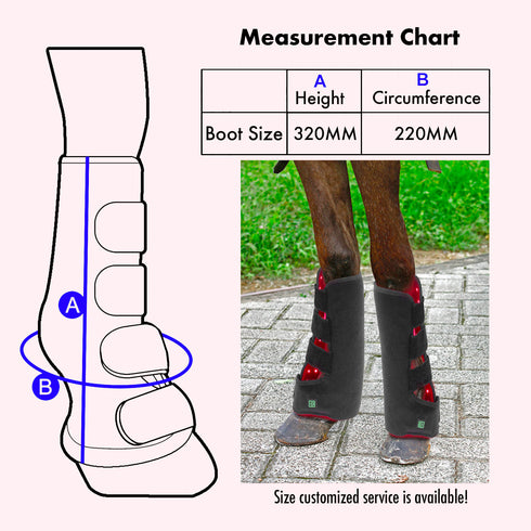 Horse-Leg-Portable-Phototherapy-LED-Light-Therapy