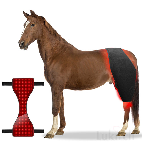 infrared red led light therapy wrap for equine