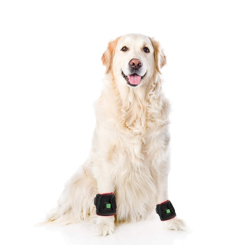 New-Arrival-Red-Light-Therapy-Belt-For-Animals-Joints-Pain-Relief-660nm-850nm