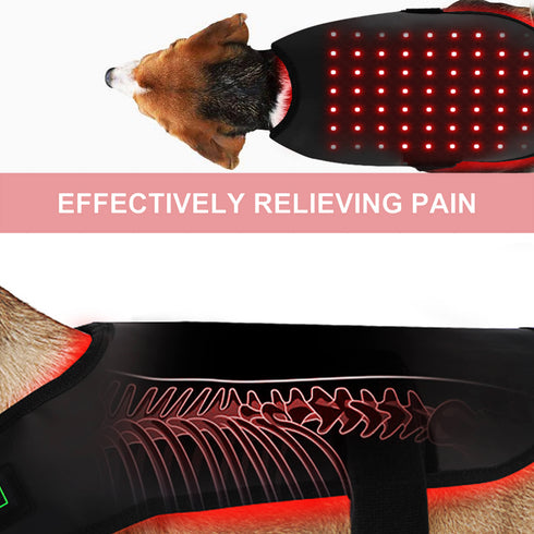 Wearable-Red-light-Therapy-Pad-for-dog-pets