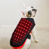 Wearable-Red-light-Therapy-wraps-for-back-of-pets