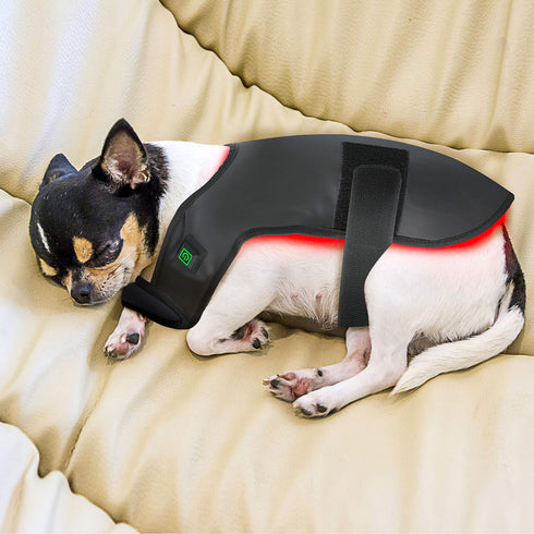 Wearable-Red-light-Therapy-wraps-for-dog-back