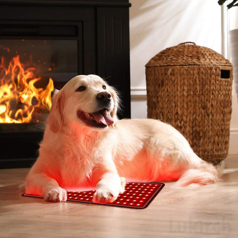 red light therapy wraps for dogs