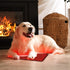 red light therapy wraps for dogs