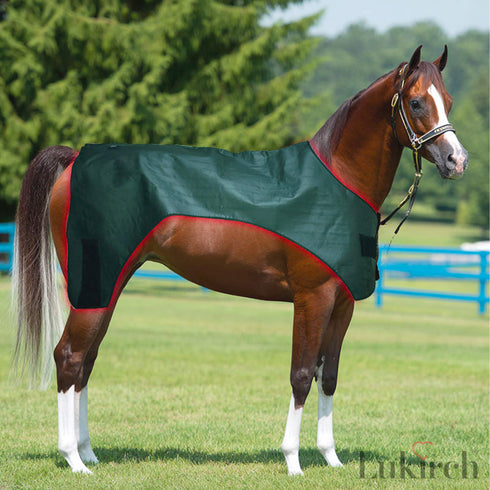 rechargeable equine light therapy blanket with built-in battery