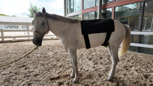 Equine Red & Near Infrared Light Therapy Back Wrap (M 35" × 28")