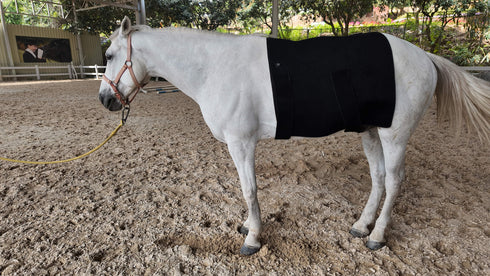 Equine Red & Near Infrared Light Therapy Back Wrap (M 35" × 28")