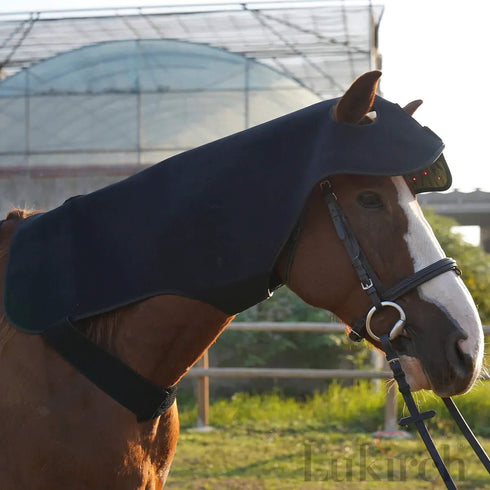 660nm red light and 850nm near infrared therapy diagram for equine poll and neck area