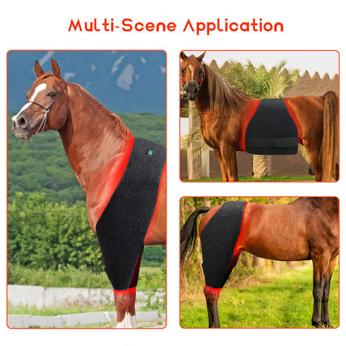 equine red light therapy pad