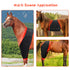 equine red light therapy pad