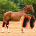 horse hock helper red light therapy wrap