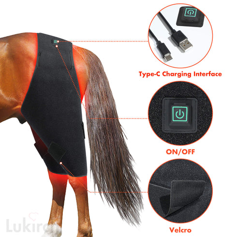equine red light therapy belts for pain relief pad