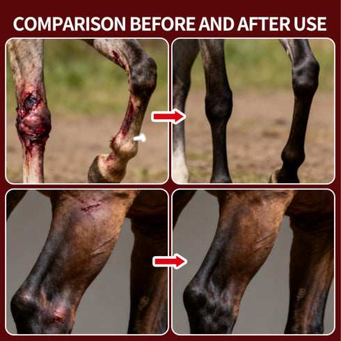 equine-red-light-therapy-boot-660nm-850nm-leds