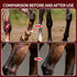 equine-red-light-therapy-boot-660nm-850nm-leds
