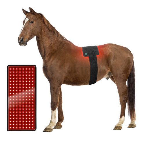 equine red light therapy wrapts