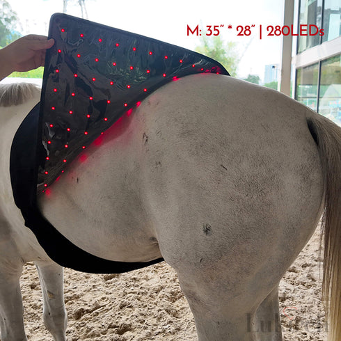 horse infrared therapy blanket
