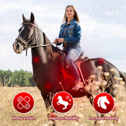 horse wearing LED therapy blanket for recovery and circulation