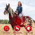 horse wearing LED therapy blanket for recovery and circulation