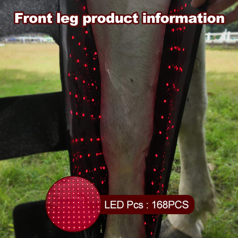 horse-red-light-therapy-boots-front-leg
