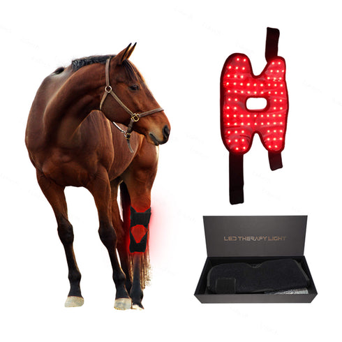 horse hock helper red light therapy pad for hock