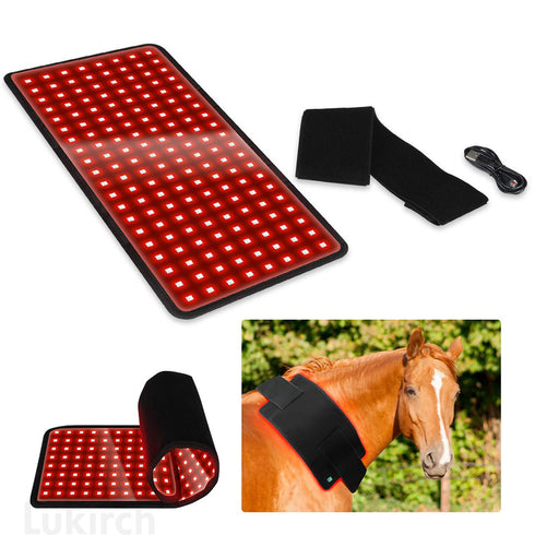 equine infrared led light therapy belts
