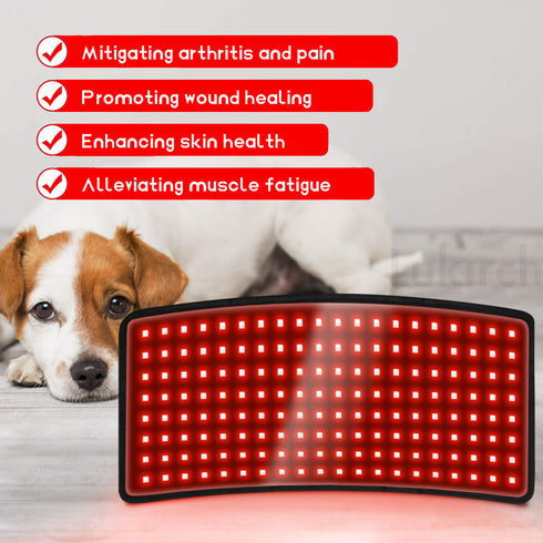 dogs red light therapy mat