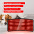 dogs red light therapy mat