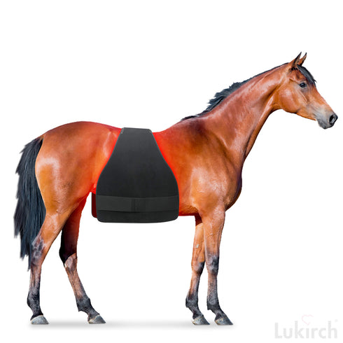 red led light near infrared light therapy pad for equine horse pad