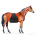 red led light near infrared light therapy pad for equine horse pad