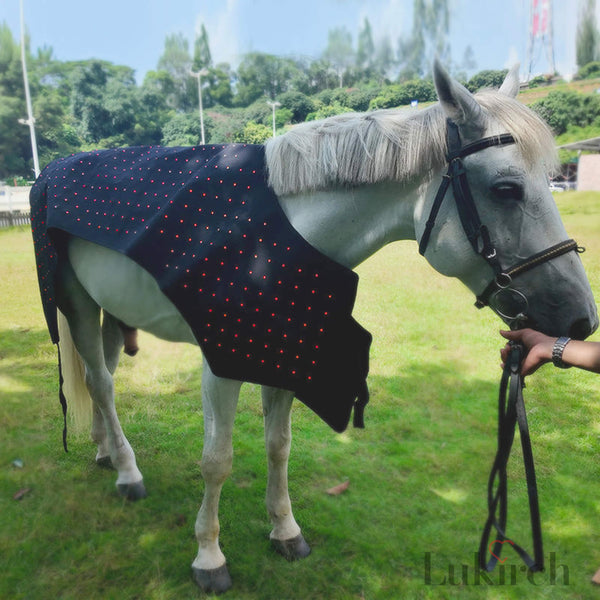 equine red infrared light therapy blanket full body wearable for horses