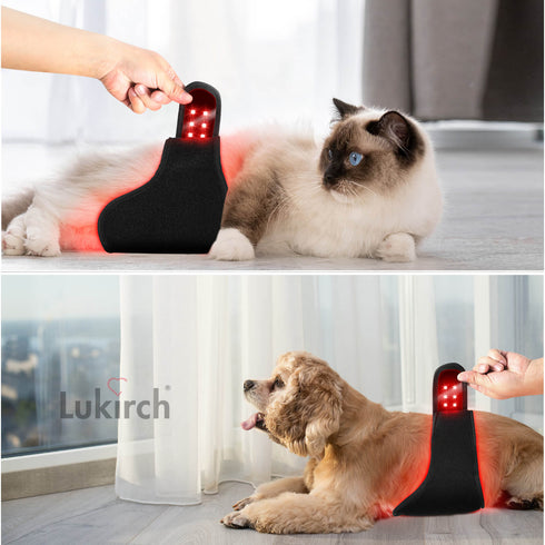 red light phototherapy wrap belts for dog pet