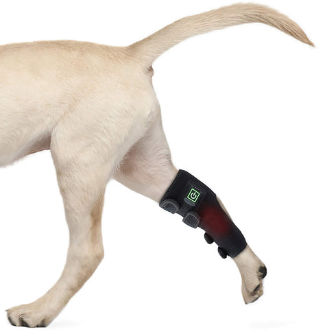 pets-leg-red-light-therapy-wraps-device