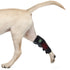 pets-leg-red-light-therapy-wraps-device