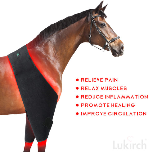 red light therapy equine pad near infrared light therapy wrap horse