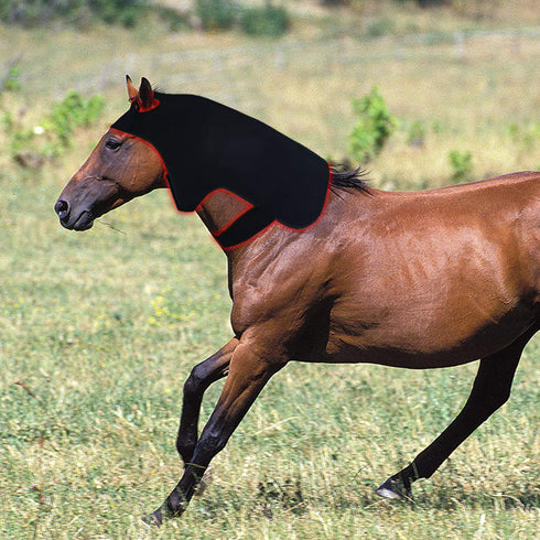 red light therapy poll cap for pony