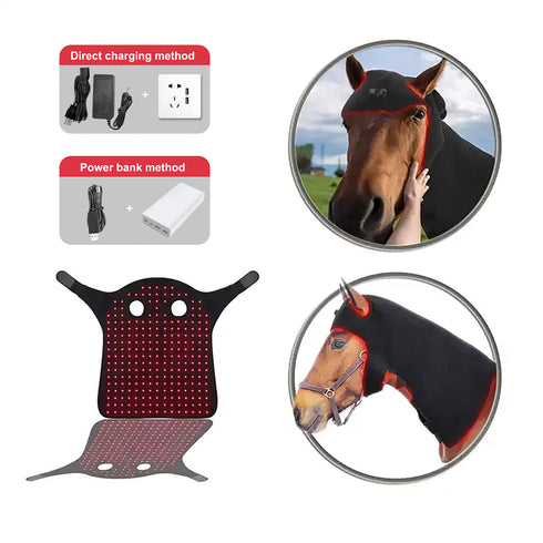 wearable-led-red-light-therapy-horse