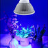 lukirch 24w blue led light therapy lamp 450nm will be good for the growth of vegetables' leaf