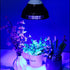 lukirch blue light is good for the vegetable's leaf growth