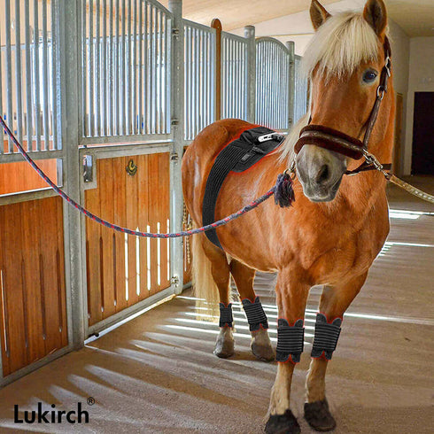 lukirch red infrared light therapy belt 120 leds is used for horse, cat, dog and other pets