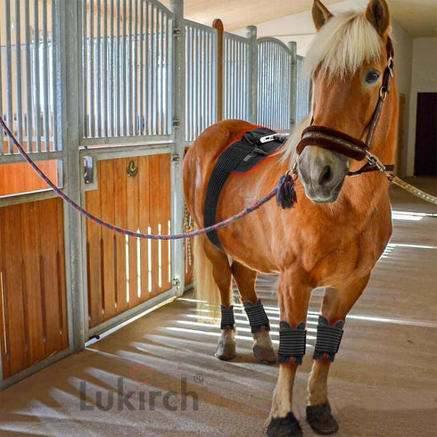 lukirch red infrared led light therapy belts with 180 leds, 660nm & 850nm, is used for wound and muscle healing, arthritis of cats, dogs, horses and other pets
